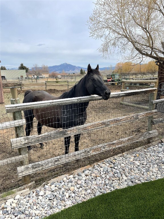 Bring your horses