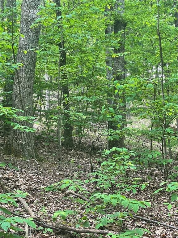 1225 Oglethorpe Rd, Jasper, GA 30143 - photo 5