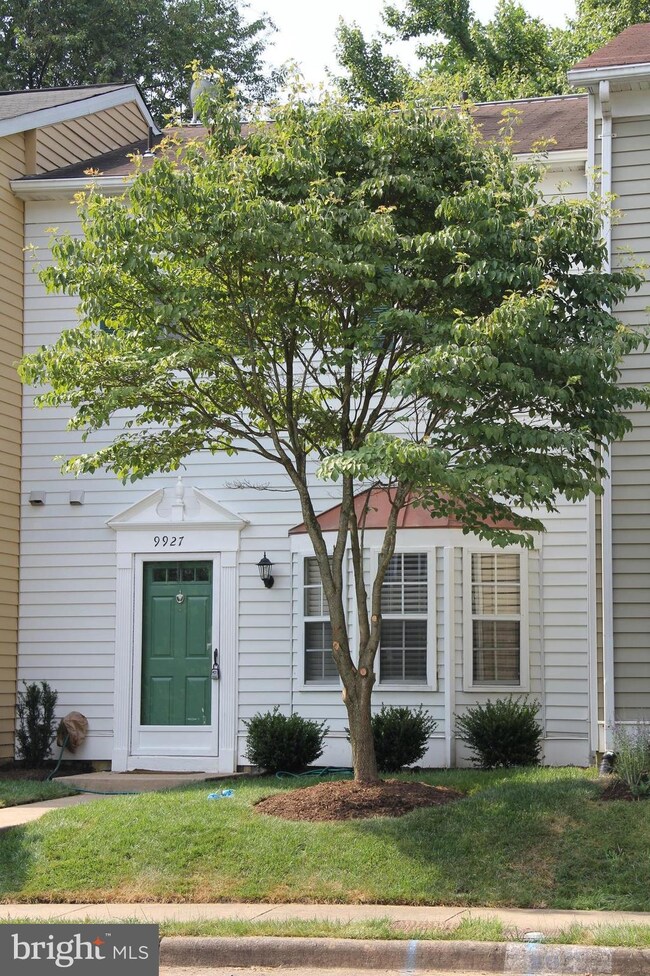 9927 Capperton Dr, Oakton, VA 22124 - photo 2