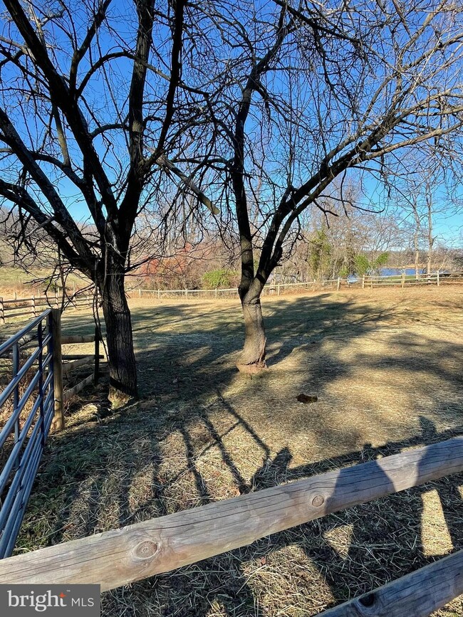 36482 Leith Ln, Middleburg, VA 20117 - photo 6