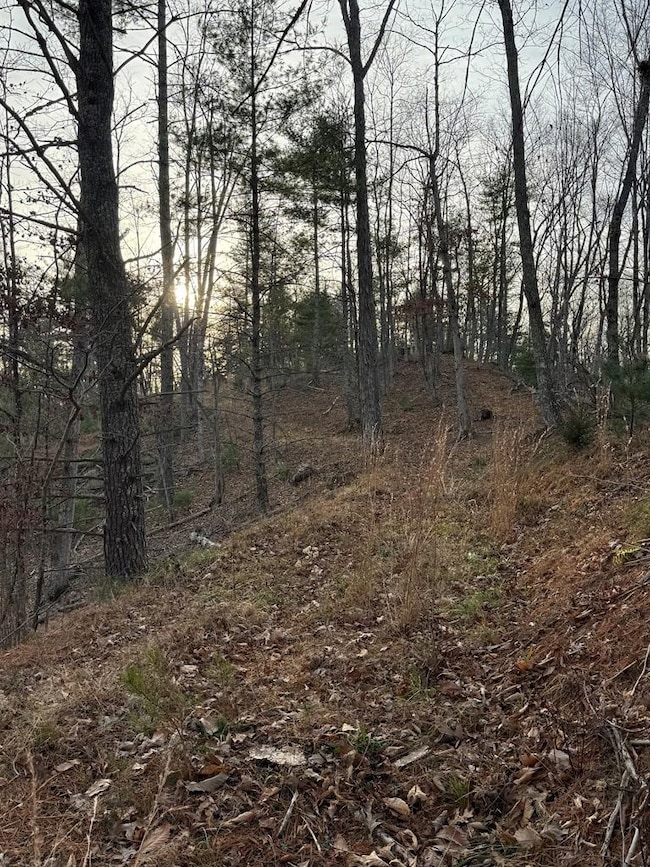 0 Seneca Trail S unit 55718, Lindside, WV 24951 - photo 3