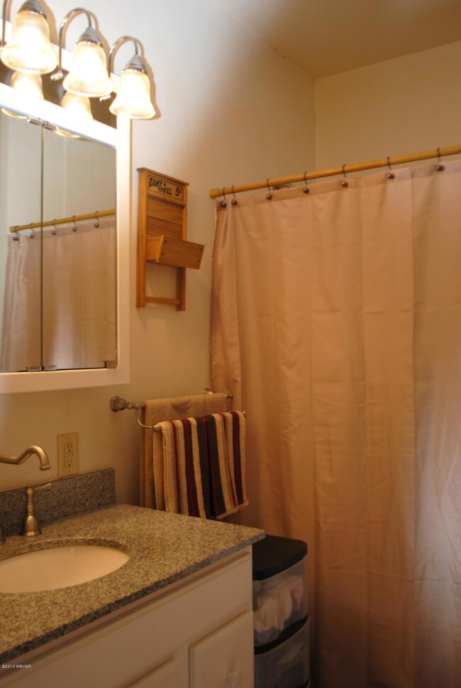 393 Gregg Run Rd, Hughesville, PA 17737 - photo 3