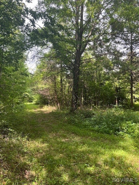 View of wooded area