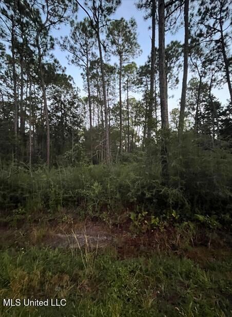 0 18th St unit 4127873, Pass Christian, MS 39571 - photo 4