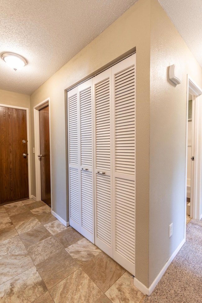 Entryway Closet