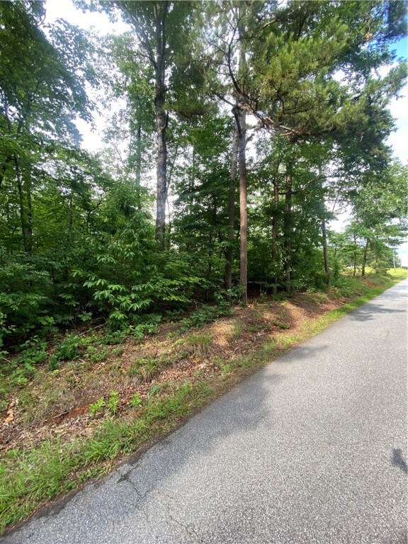 150 W H 7, Tamassee, SC 29686 - photo 3