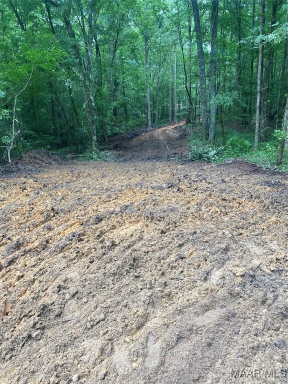 196 Venable Ct, Wetumpka, AL 36092 - photo 4