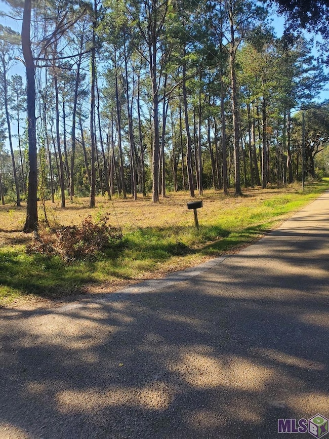 22601 Fletcher Rd, Ponchatoula, LA 70454 - photo 6