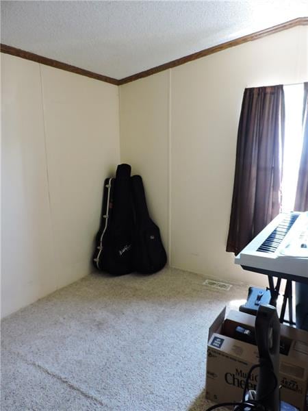 3rd bedroom 11x11, wall to wall carpet, one window