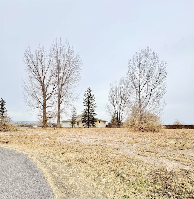 10728 Mesa View Dr, Austin, CO 81410 - photo 2