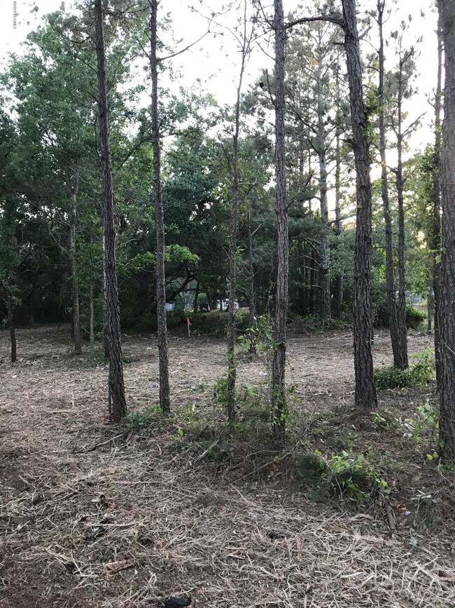 Interior Lot View 4