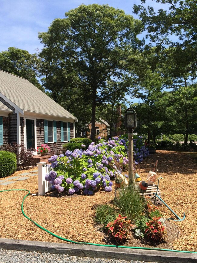 35AC16AD-DBAA-4120-8EC9-323940805327