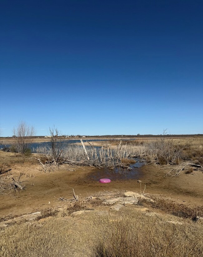 0 Lcr 175 unit 5105, Colorado City, TX 79512 - photo 6