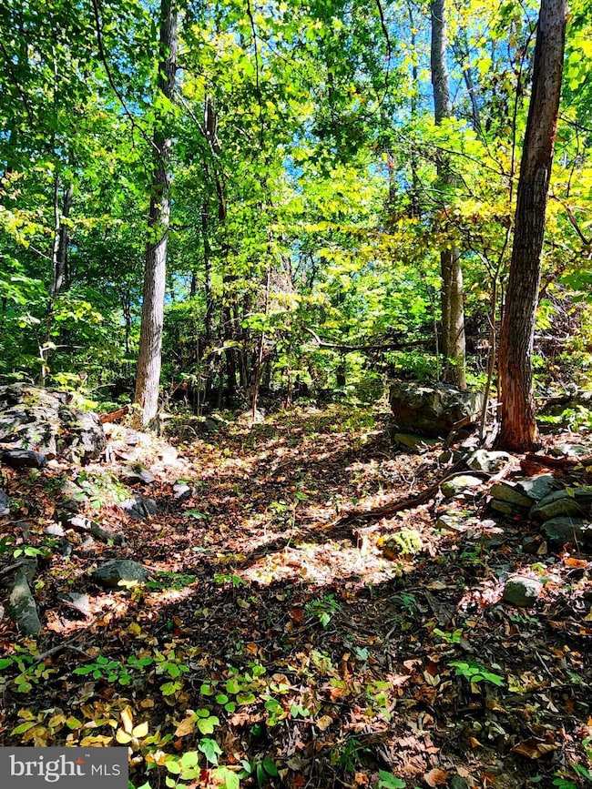 0 Parkside Rd unit VAWR2012298, Linden, VA 22642 - photo 6