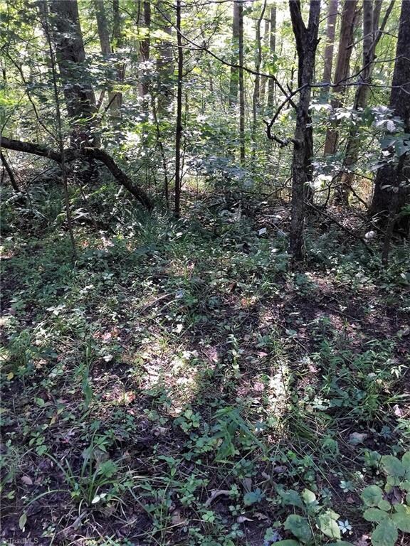 Hubbard Rd. Property