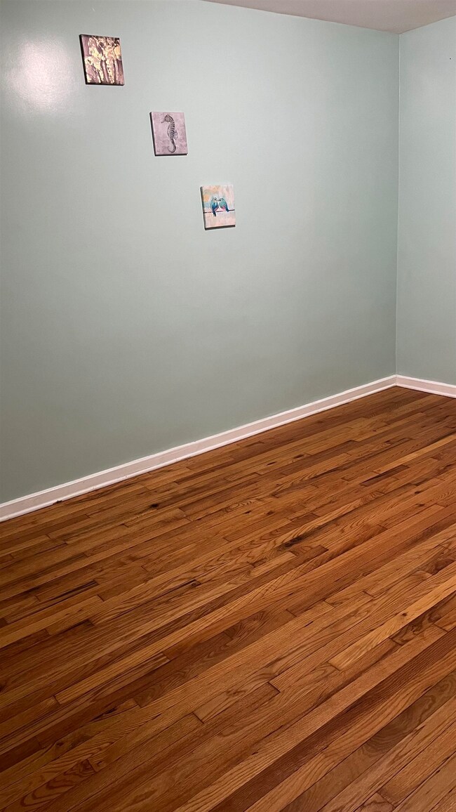 316 Stevens Ave, Jersey City, NJ 07305 - photo 3