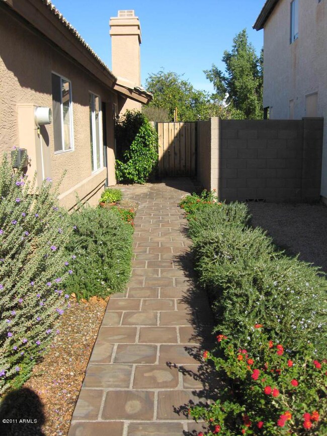 Pavers down side and back patio