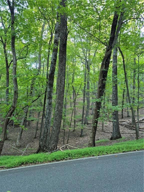 263 Wake Robin Dr, Big Canoe, GA 30143 - photo 3