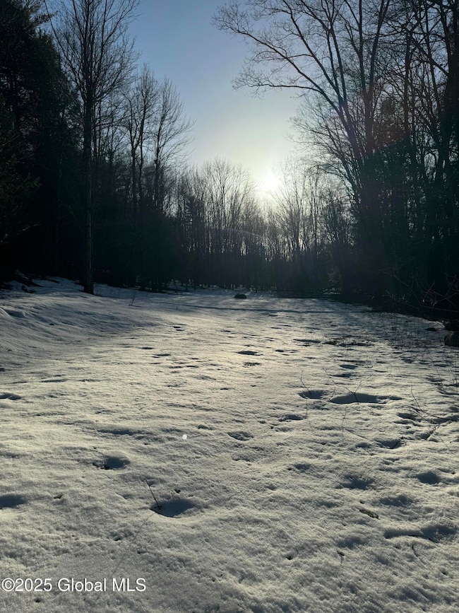 132 Wesskum Woods Rd, Johnstown, NY 12078 - photo 5