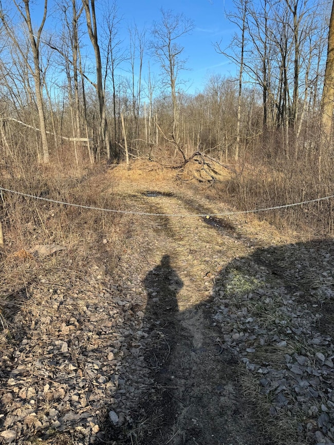 14551 Algoma Ave NE, Cedar Springs, MI 49319 - photo 2