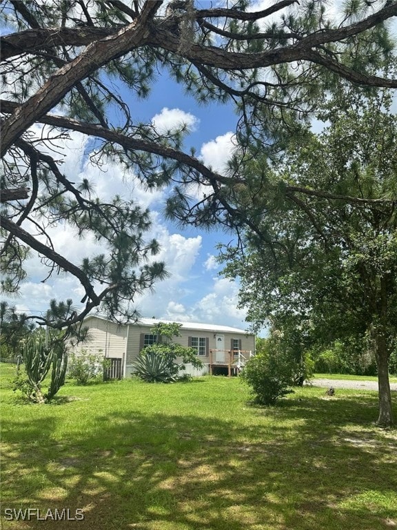 View of green lawn
