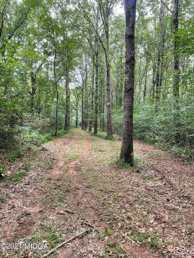 Lot 13 Jenkins Rd, Forsyth, GA 31029 - photo 3