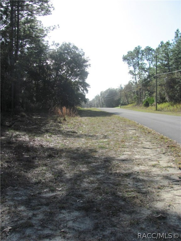 4902 N Mulberry Loop, Beverly Hills, FL 34465 - photo 5