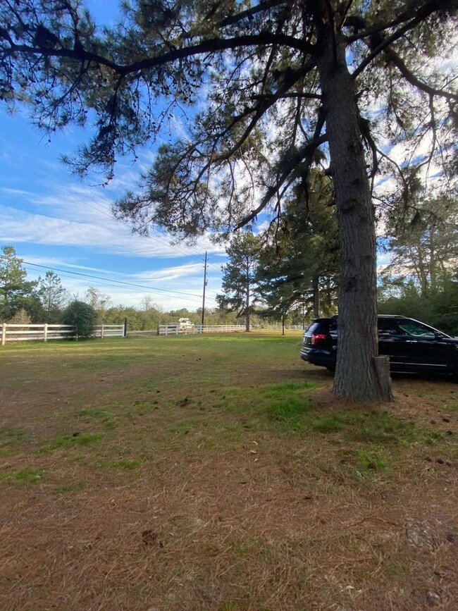 19135 Bauer Rd, Hockley, TX 77447 - photo 6