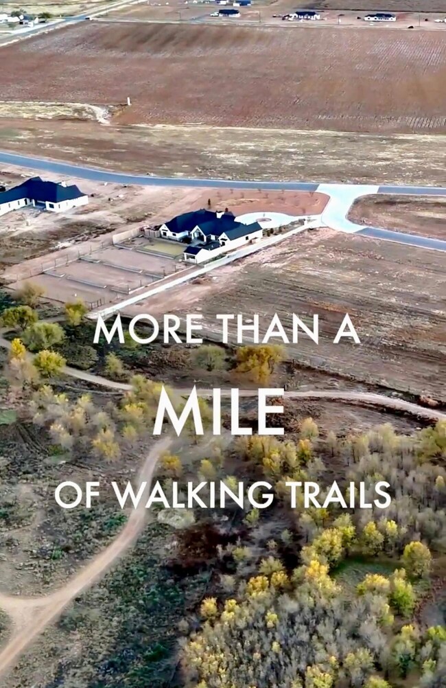 7913 County Road 6050, Shallowater, TX 79363 - photo 5