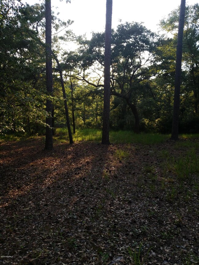 middle of lot