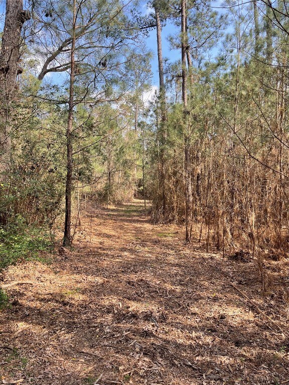 TBD Longbow St, Hockley, TX 77447 - photo 2