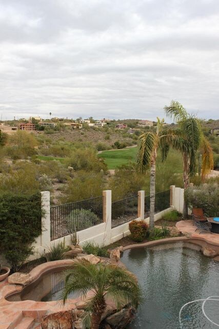 View in Backyard
