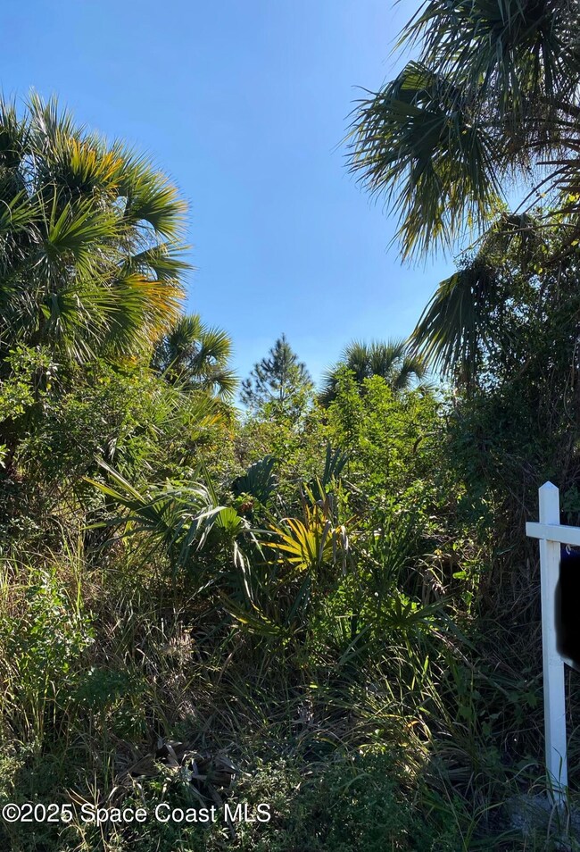 740 Star St, Palm Bay, FL 32908 - photo 4