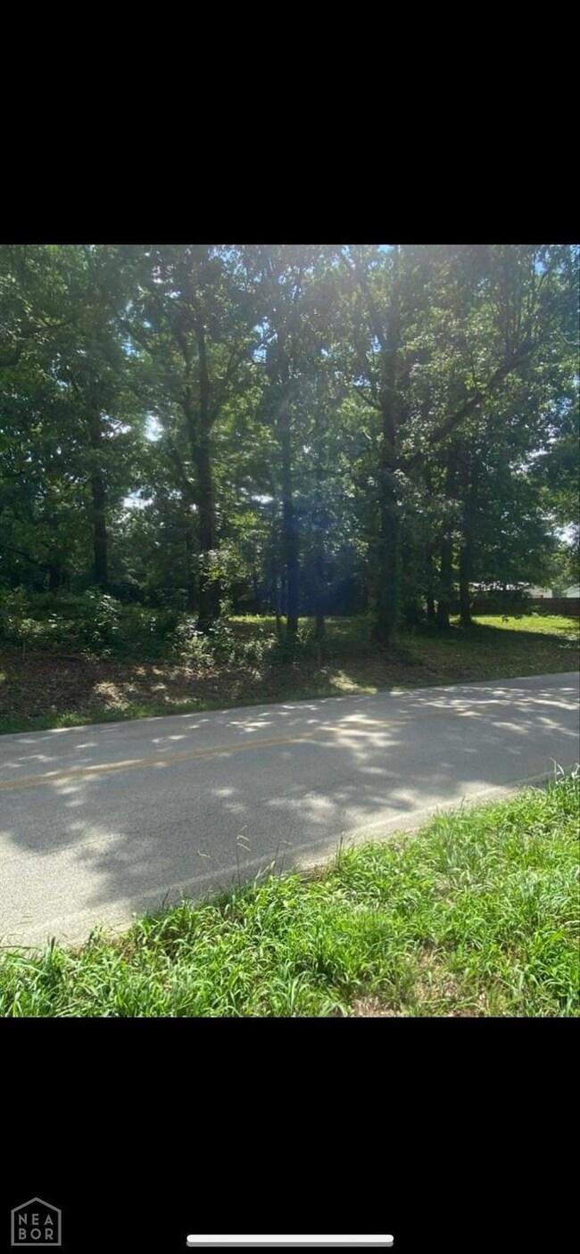 0 Fairview Rd, Paragould, AR 72450 - photo 3