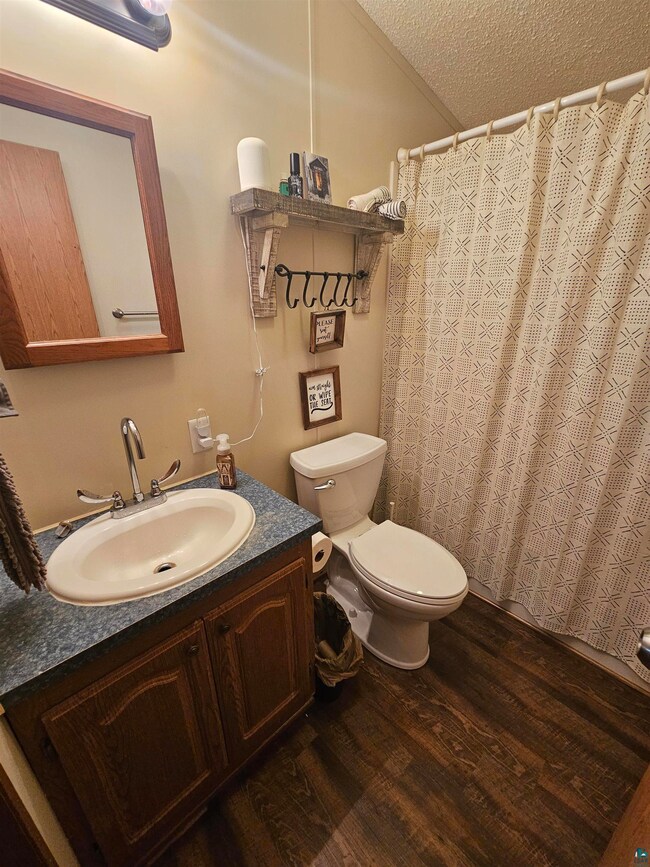 Bathroom featuring vanity, a textured ceiling, toi