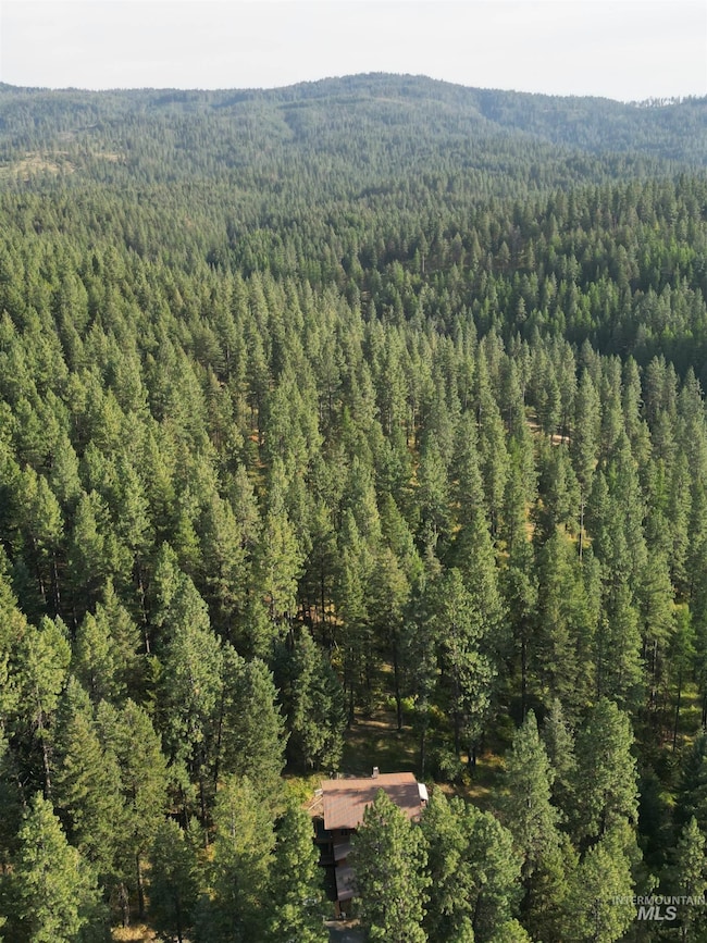 Aerial view of a heavily wooded area
