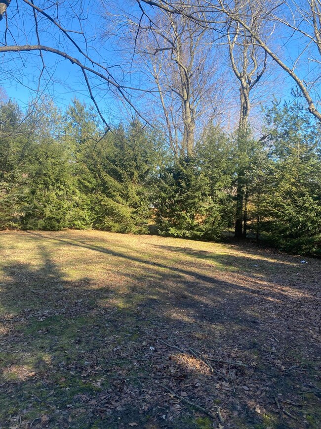 Lot View