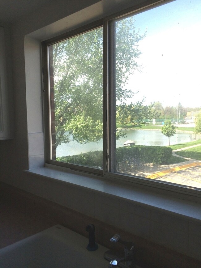 9461 Bay Colony Dr unit 2S, Des Plaines, IL 60016 - photo 5