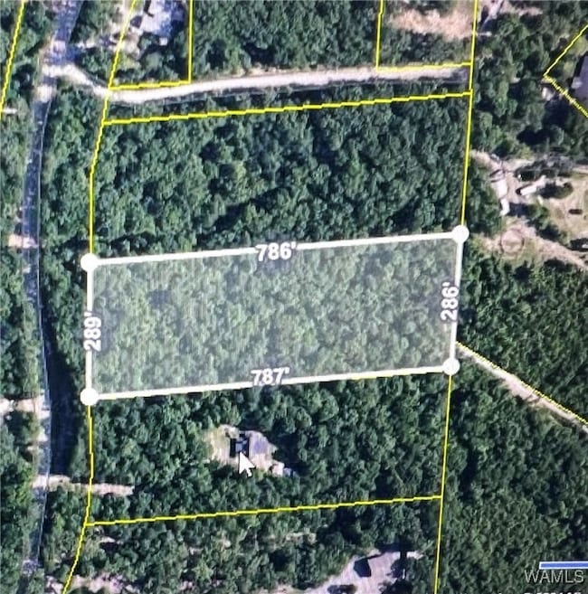 0000 Lake Lurleen Rd, Coker, AL 35452 - photo 3