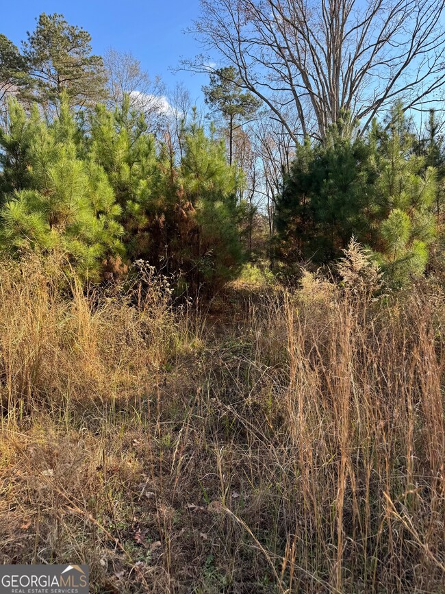 2557 Washington Hwy, Elberton, GA 30635 - photo 4