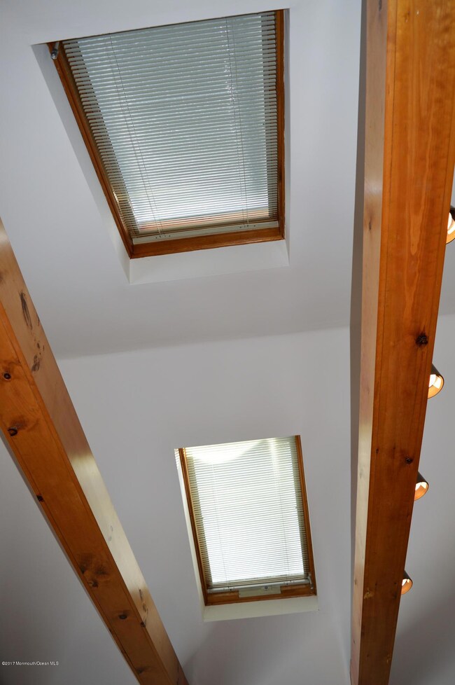 Skylights in Great Room