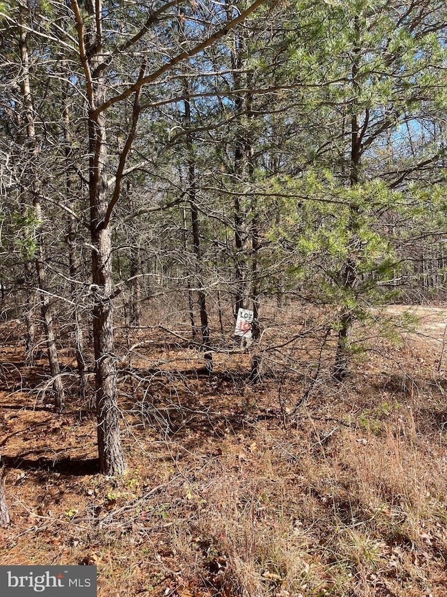 0 Hannah Ct unit WVHS2007062, Yellow Spring, WV 26865 - photo 3