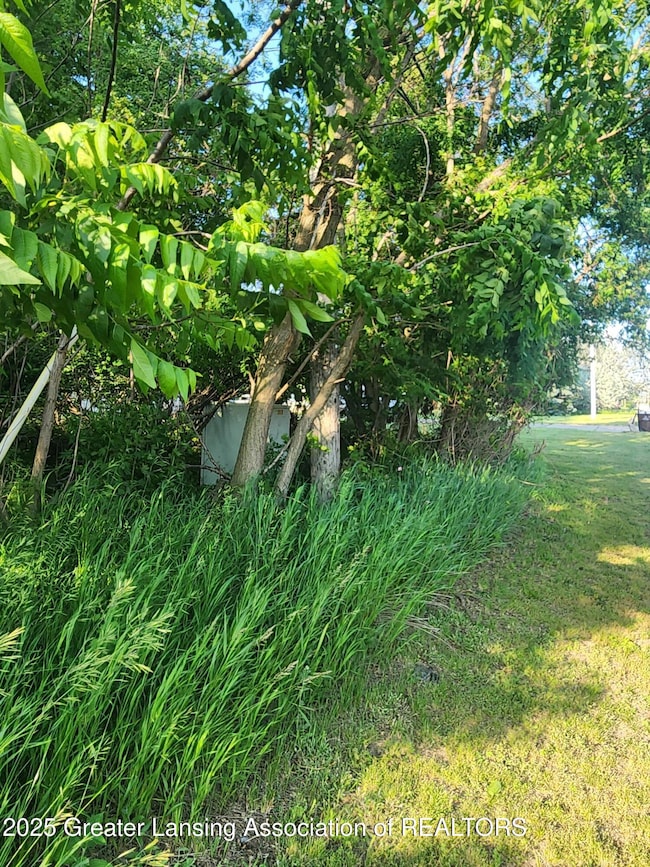 0 V/L W Sheridan Rd, Lansing, MI 48906 - photo 3