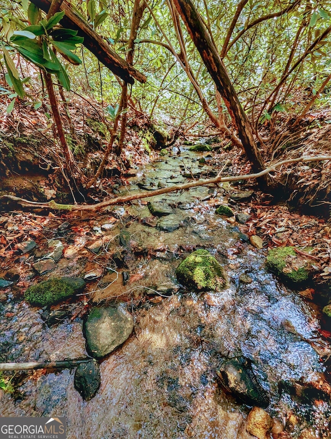 Creek that Boarders Property