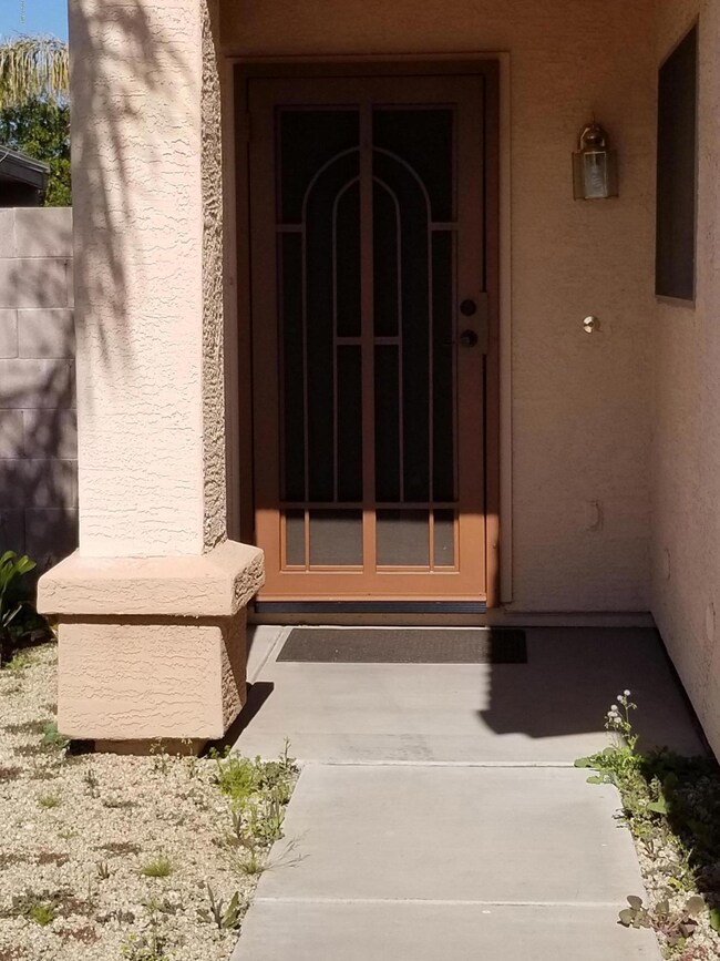 Custom Sec Door