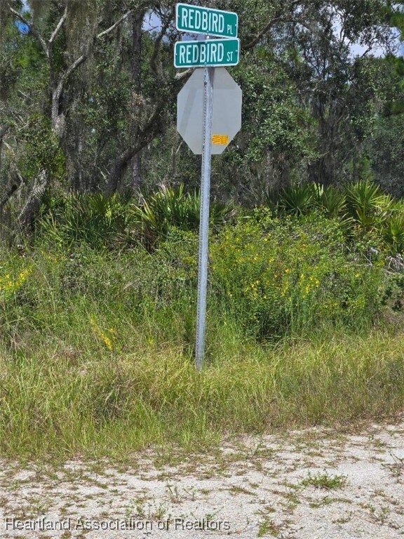 1148 Redbird St, Lake Placid, FL 33852 - photo 2