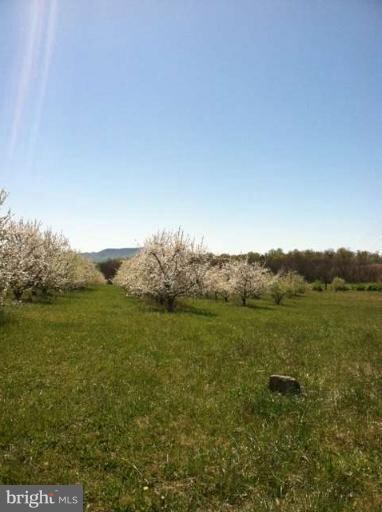 0 Buffalo Marsh Rd unit 1003881718, Middletown, VA 22645 - photo 3