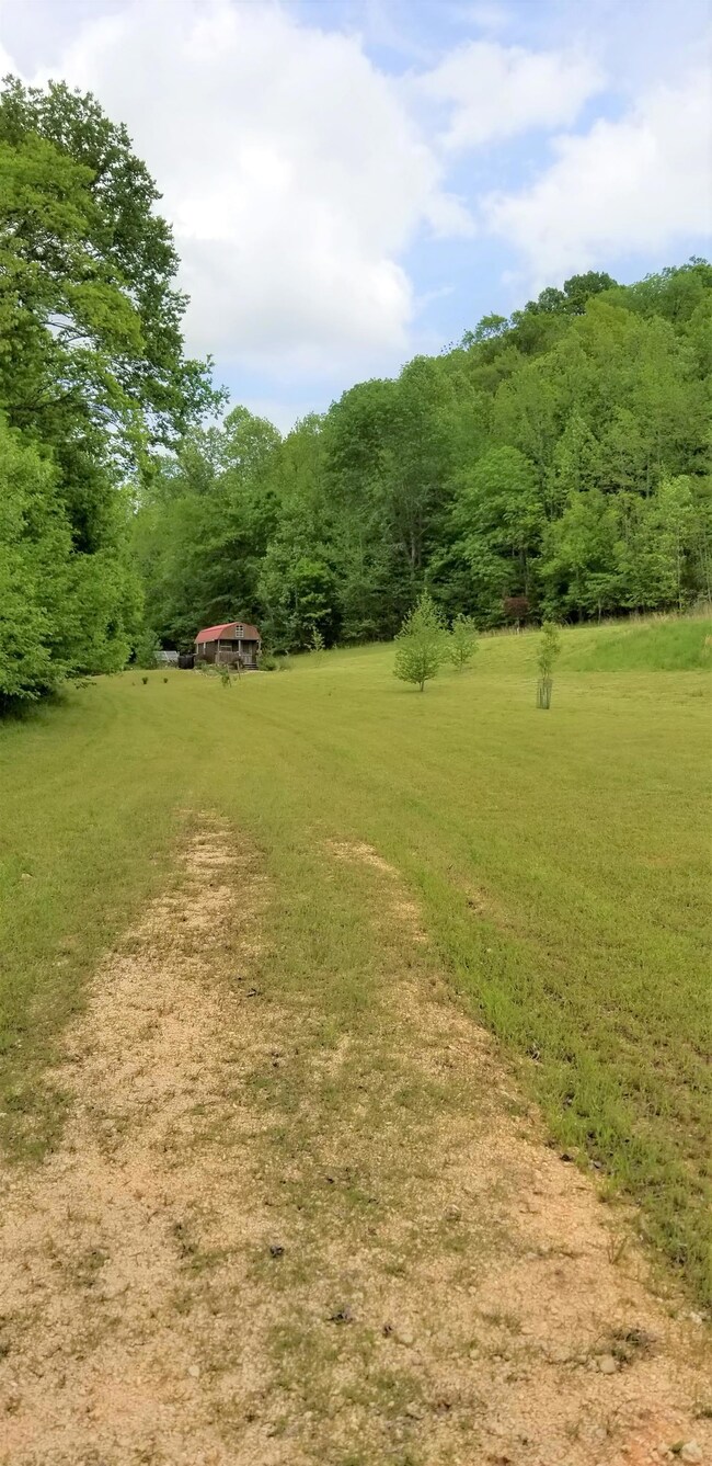 2079 Swindle Creek Rd, Linden, TN 37096 - photo 7