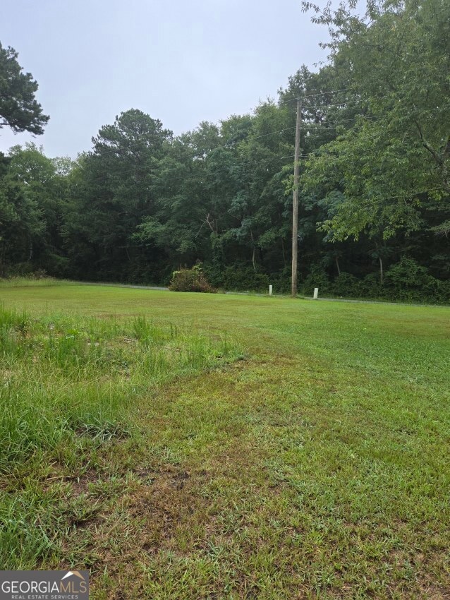 100 Hunters Ridge Dr, Monticello, GA 31064 - photo 4