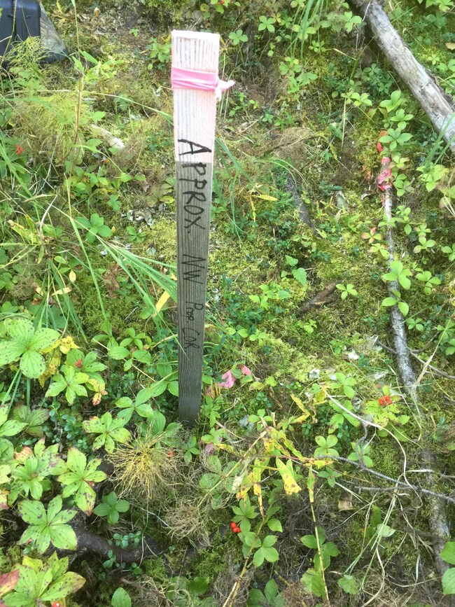 Staked Corner